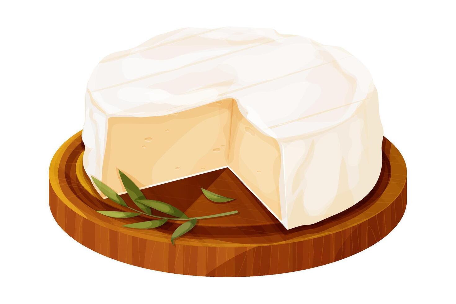 Camembert cheese, brie french soft creamy food on wooden tray isolated on white background. vector