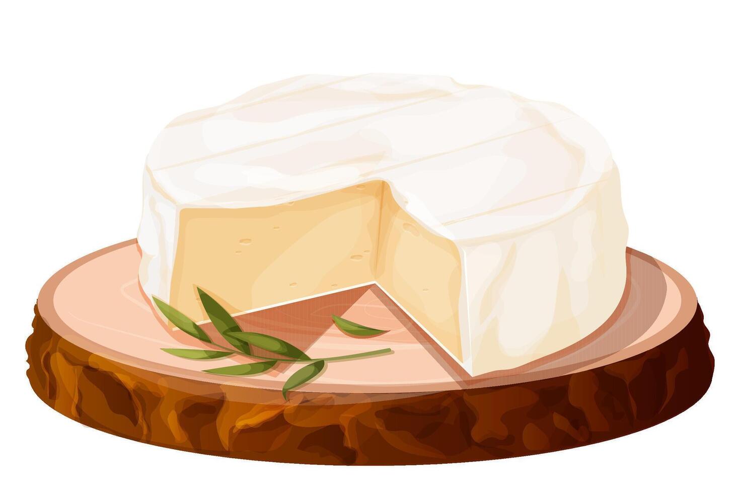Camembert cheese, brie french soft creamy food on wooden tray isolated on white background. vector