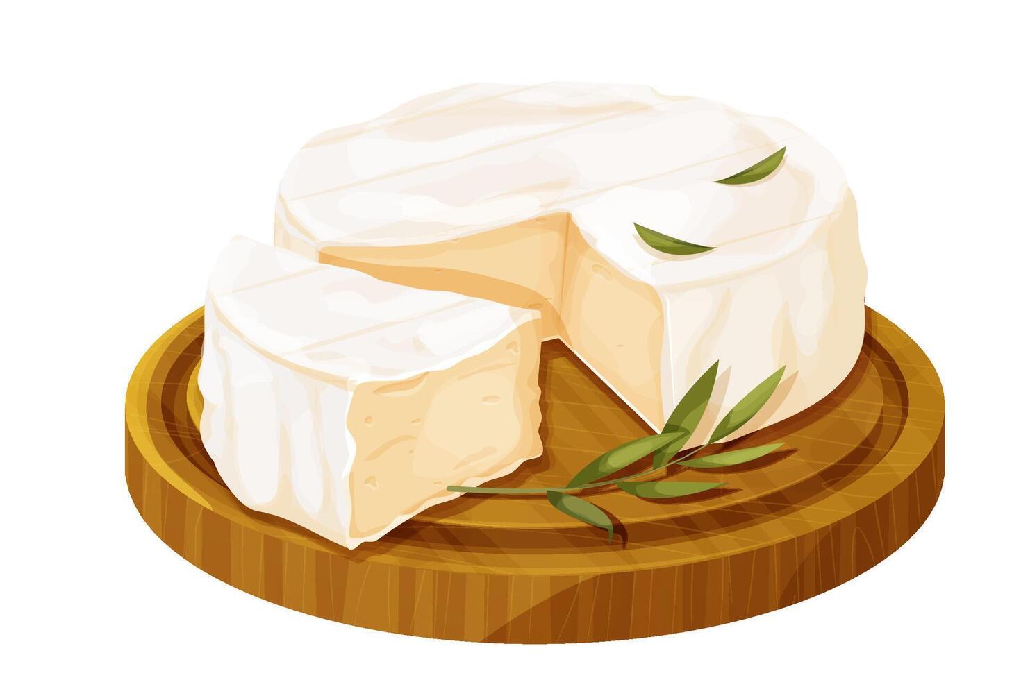 Camembert cheese, brie french soft creamy food on wooden tray detailed, textured isolated on white background. vector