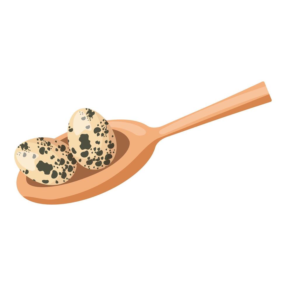 Quail eggs resting on wooden spoon isolated on white vector