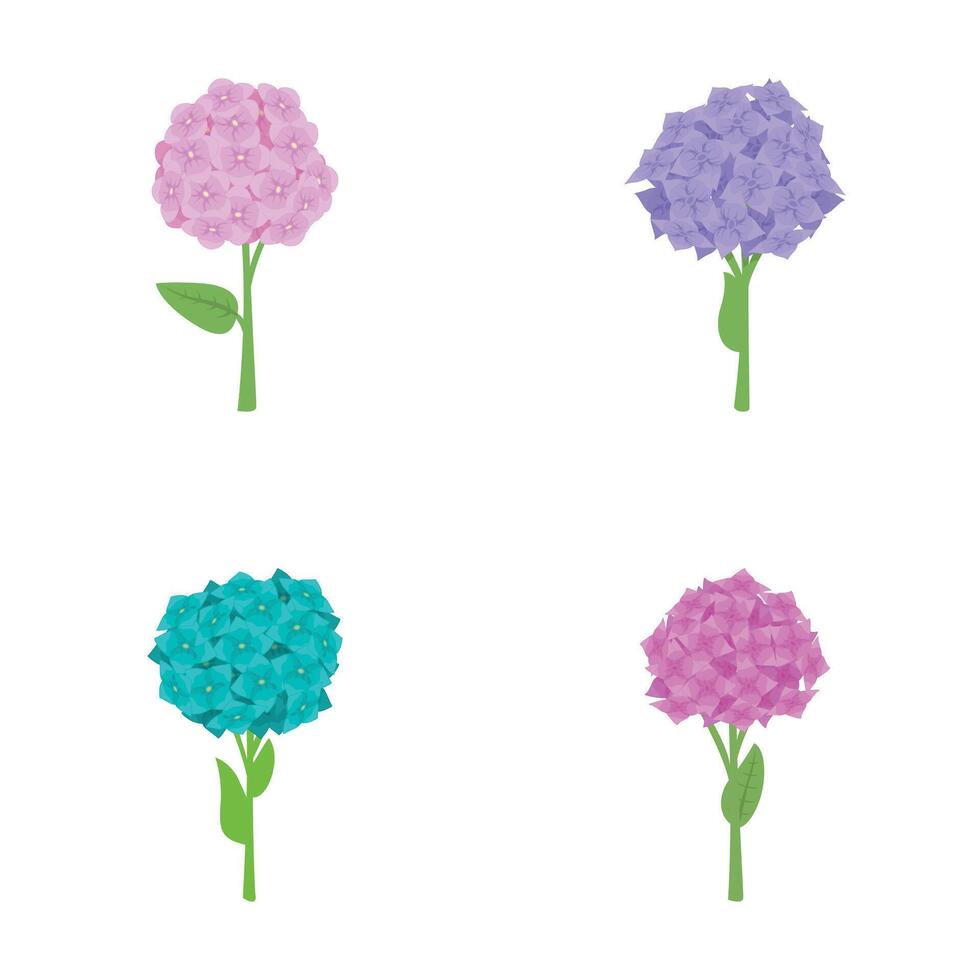 Hydrangea icons set cartoon . Colorful blooming hydrangea flower vector