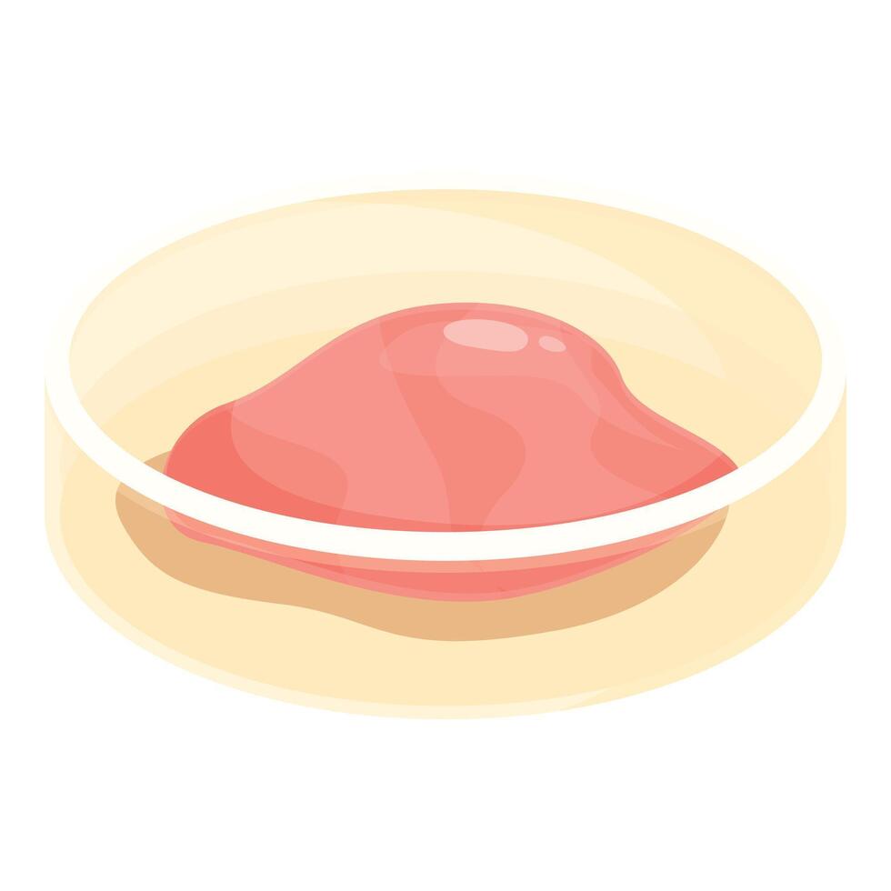 illustration of raw meat on plate vector