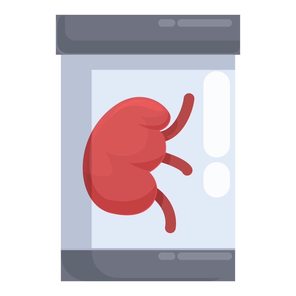 Human stomach diagram on smartphone screen vector