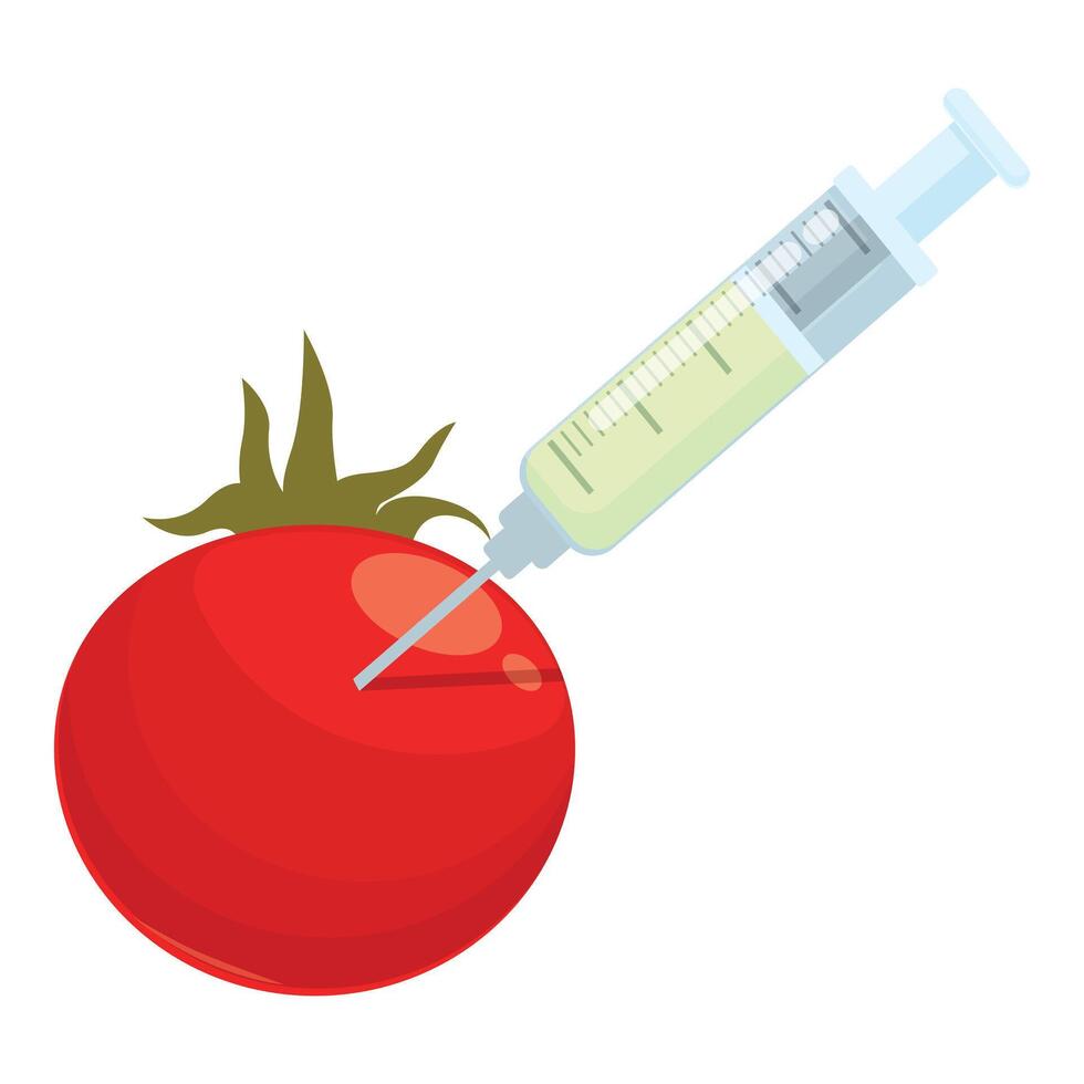 Genetically modified tomato concept illustration vector