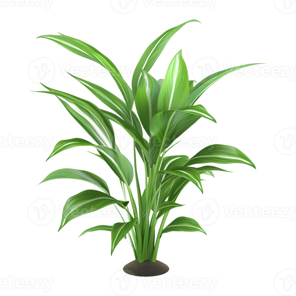 3D Rendering of a Green Plant in Pot on Transparent Background png