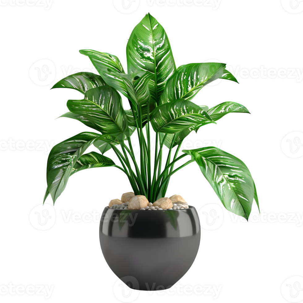 3D Rendering of a Green Plant in Pot on Transparent Background png