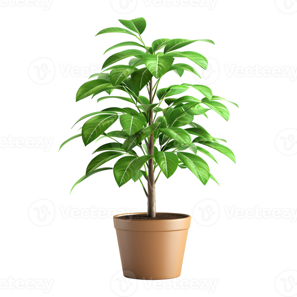 3D Rendering of a Green Plant in Pot on Transparent Background png