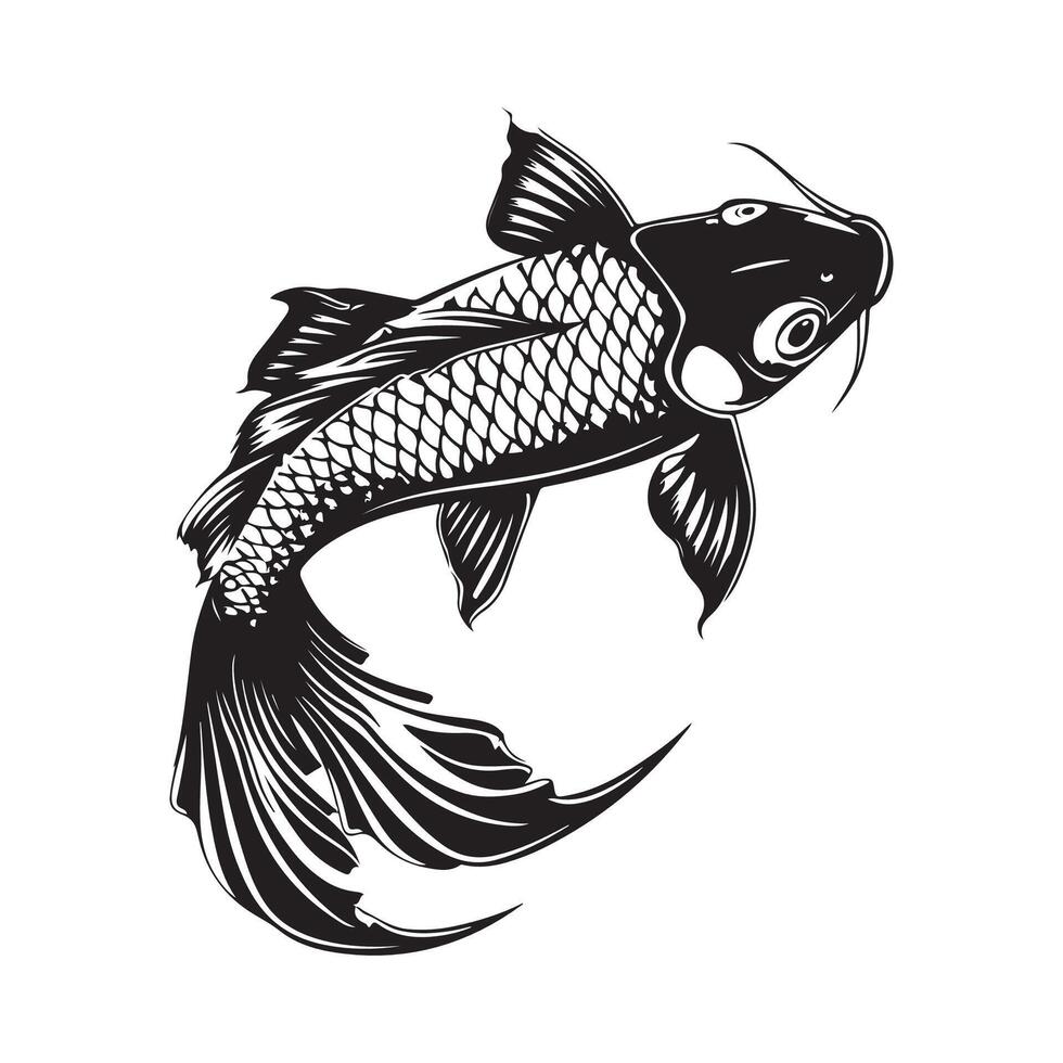 Koi Fish Carp Images design graphics isolated on white vector