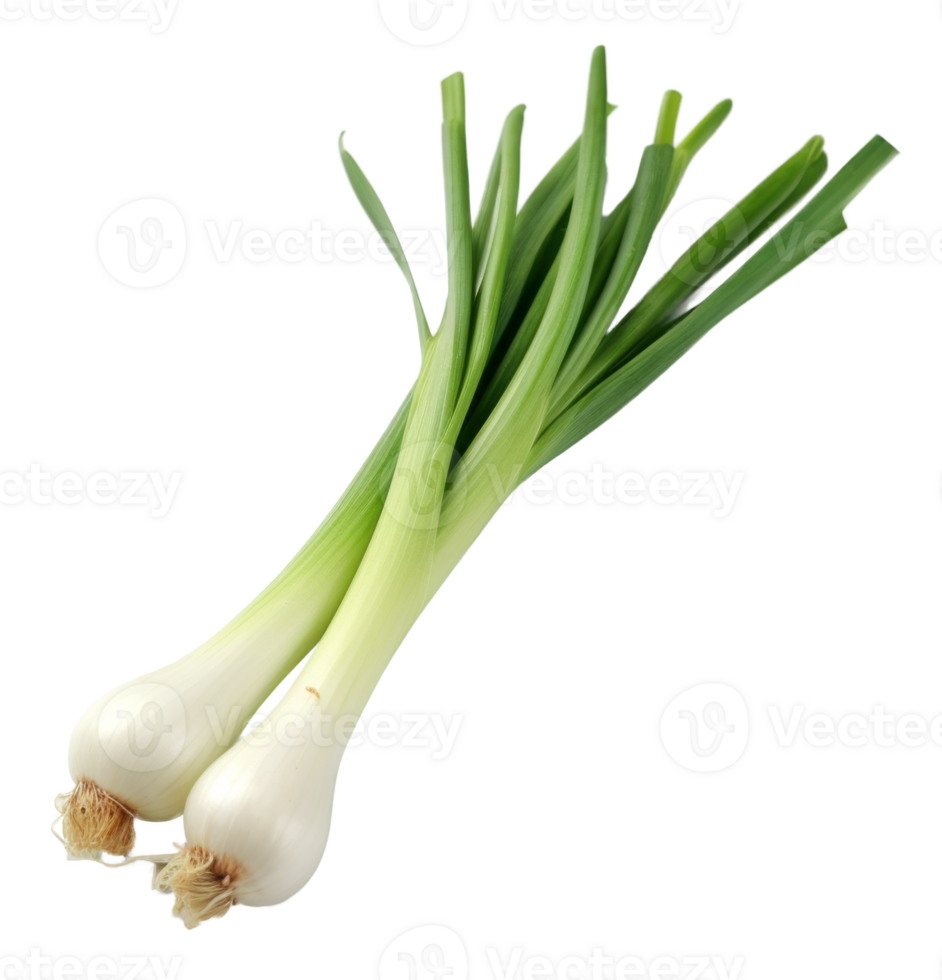 spring onions isolated on transparent background png