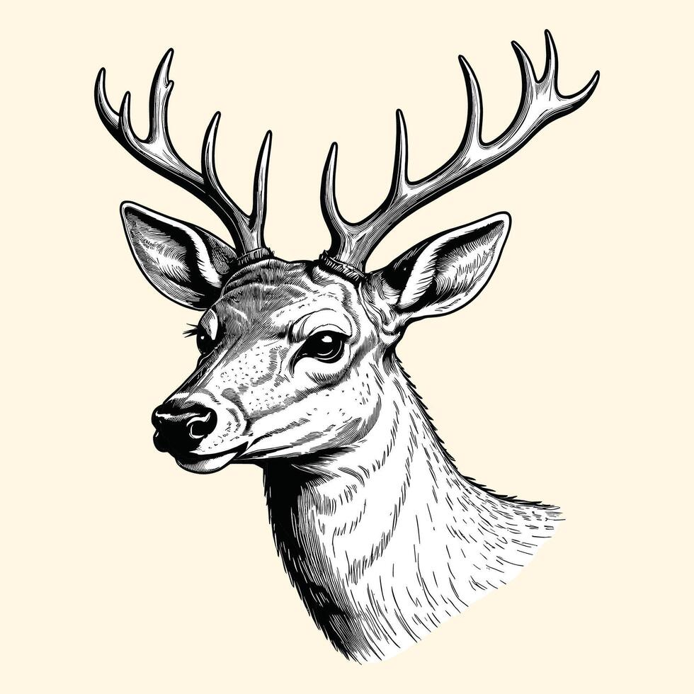 Reindeer HeadShot Illustration In Engraved Style vector
