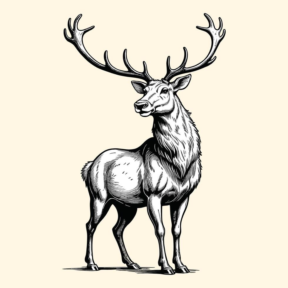 Reindeer Illustration Christmas Engraving Vintage vector