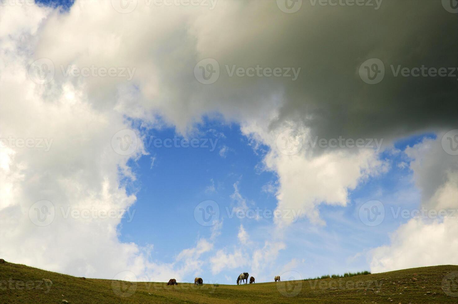 Assy Valley, Almaty Region photo