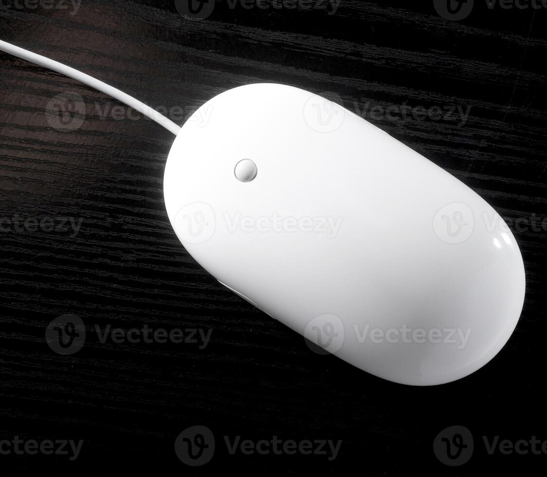 The white mouse for the computer photo