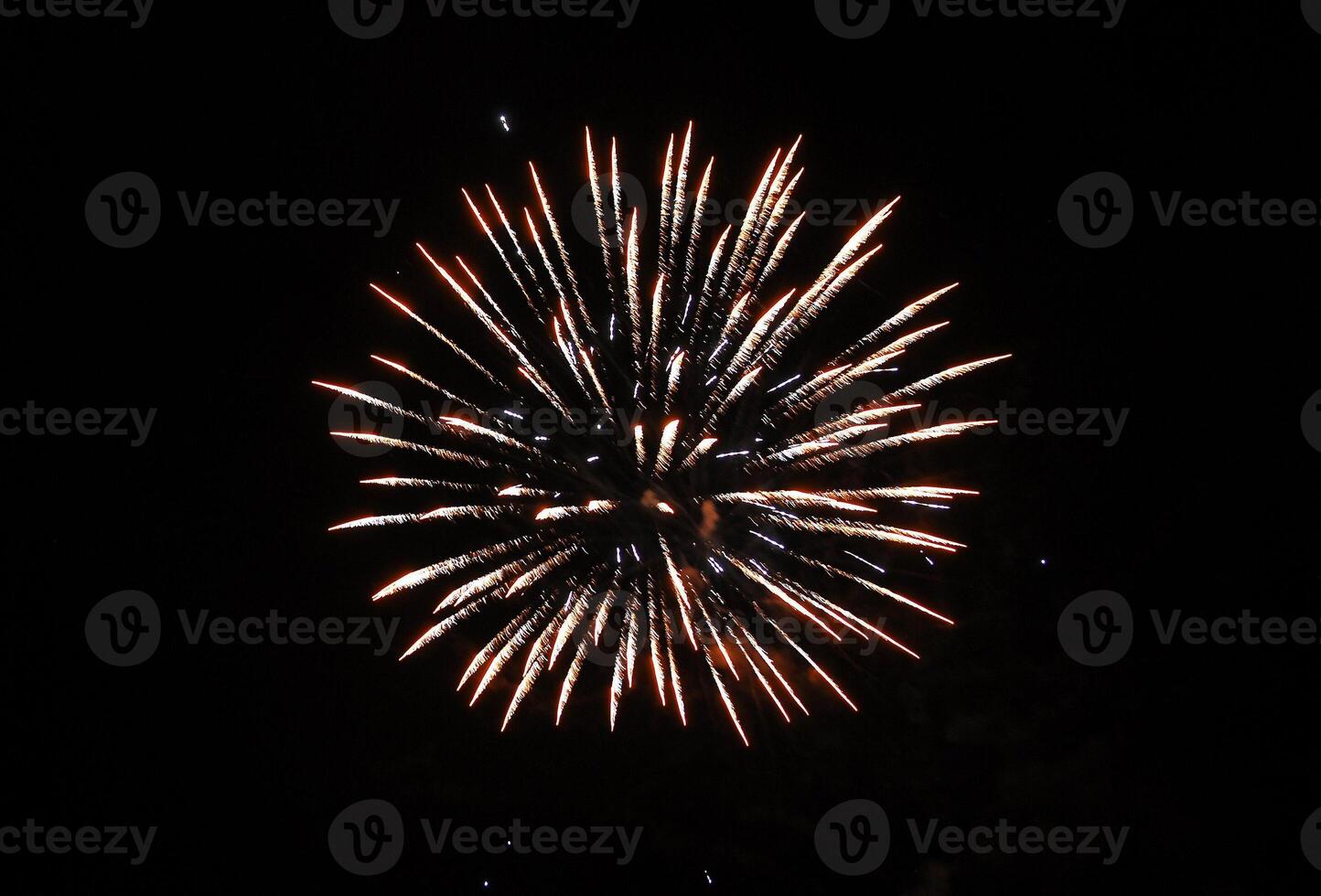 Color Firework in the night sky photo