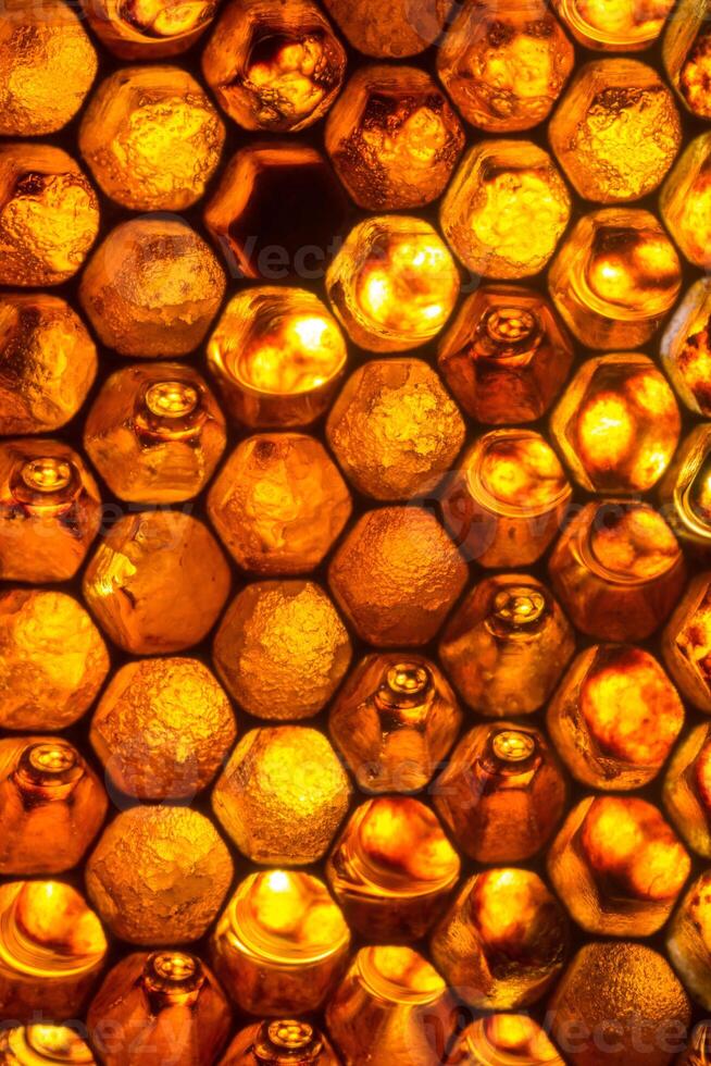 Close up studio shot of organic honey in a honey-comb. photo