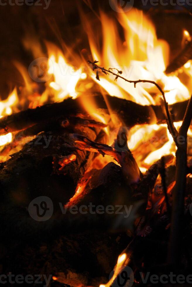 Burning fire in the dark photo