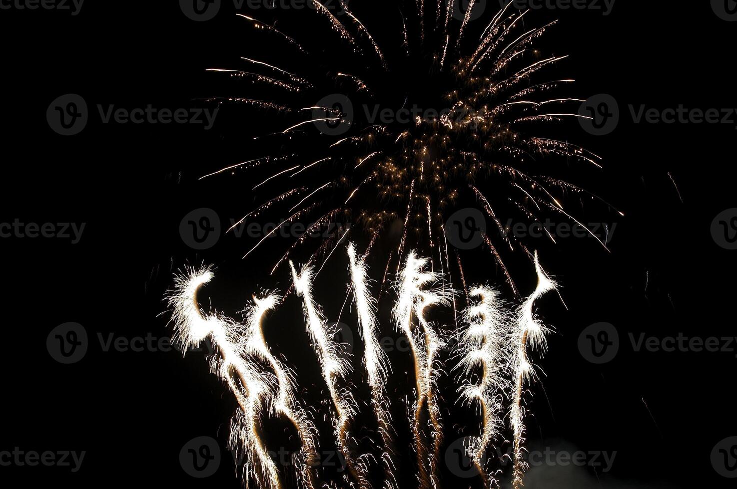 Fireworks in the night sky photo