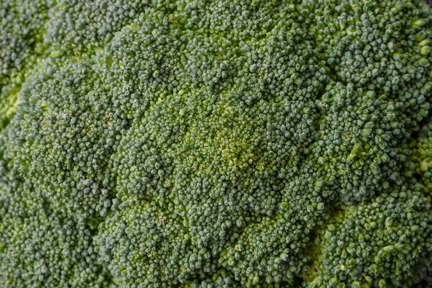 Fresh raw green broccoli in the form of a branch as an ingredient for cooking food at home photo