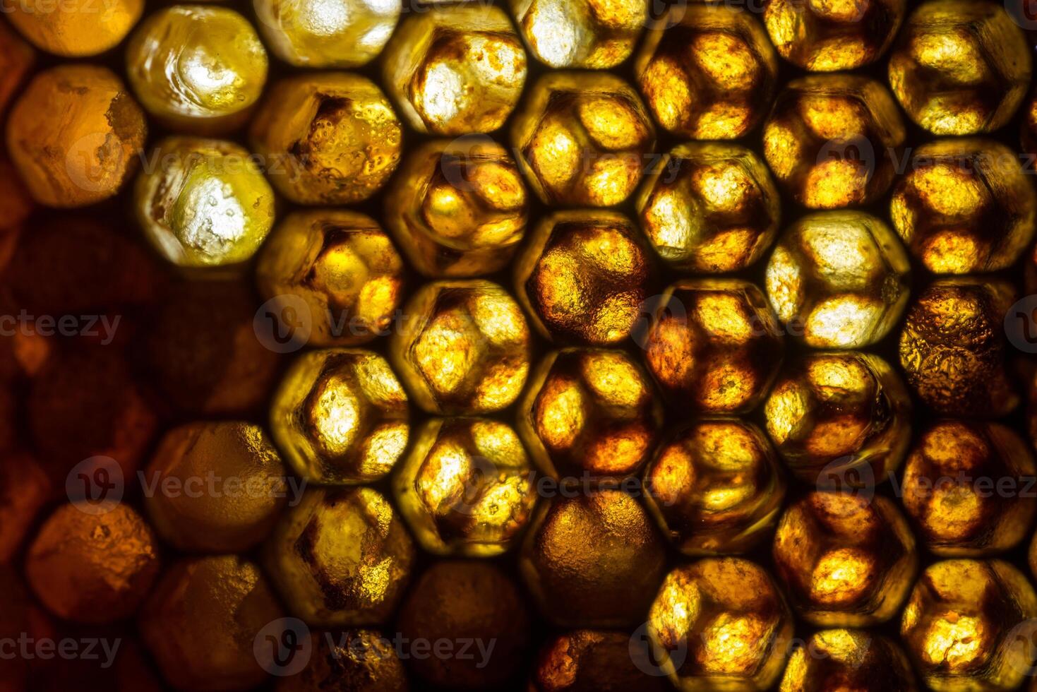 Studio Close-up of Honeycomb photo