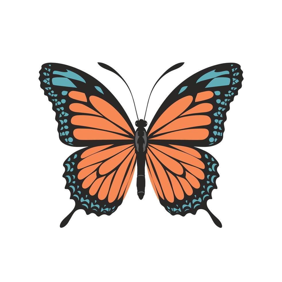 Flying butterfly . Flat illustration of flying butterfly icon isolated on white background vector