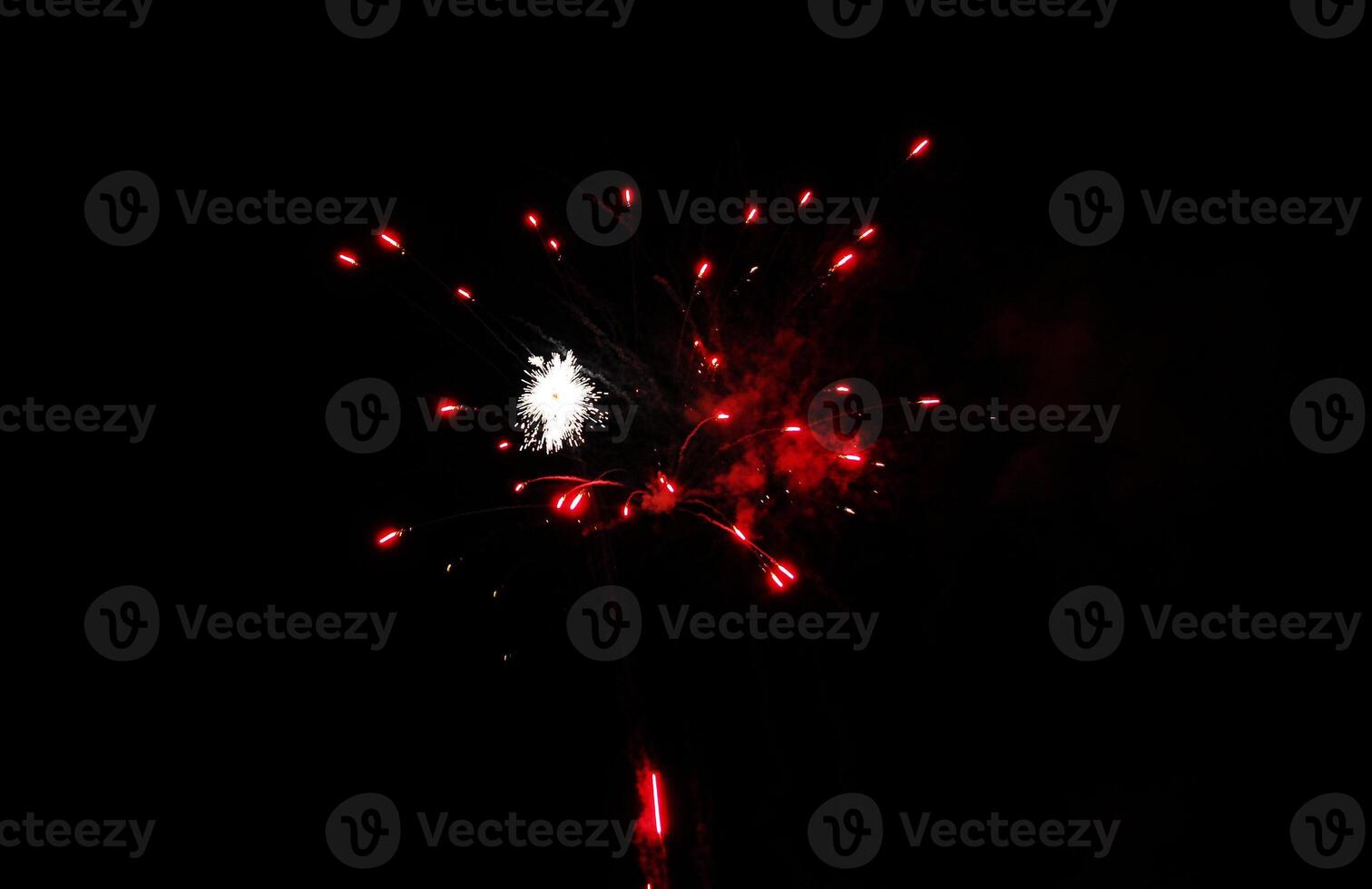 Color Firework in the night sky photo