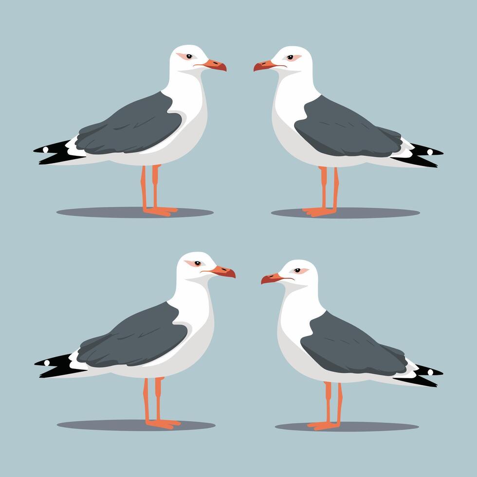 Flying seagulls Bird isolated on a white background. Soaring seabird. illustration in a flat style. vector