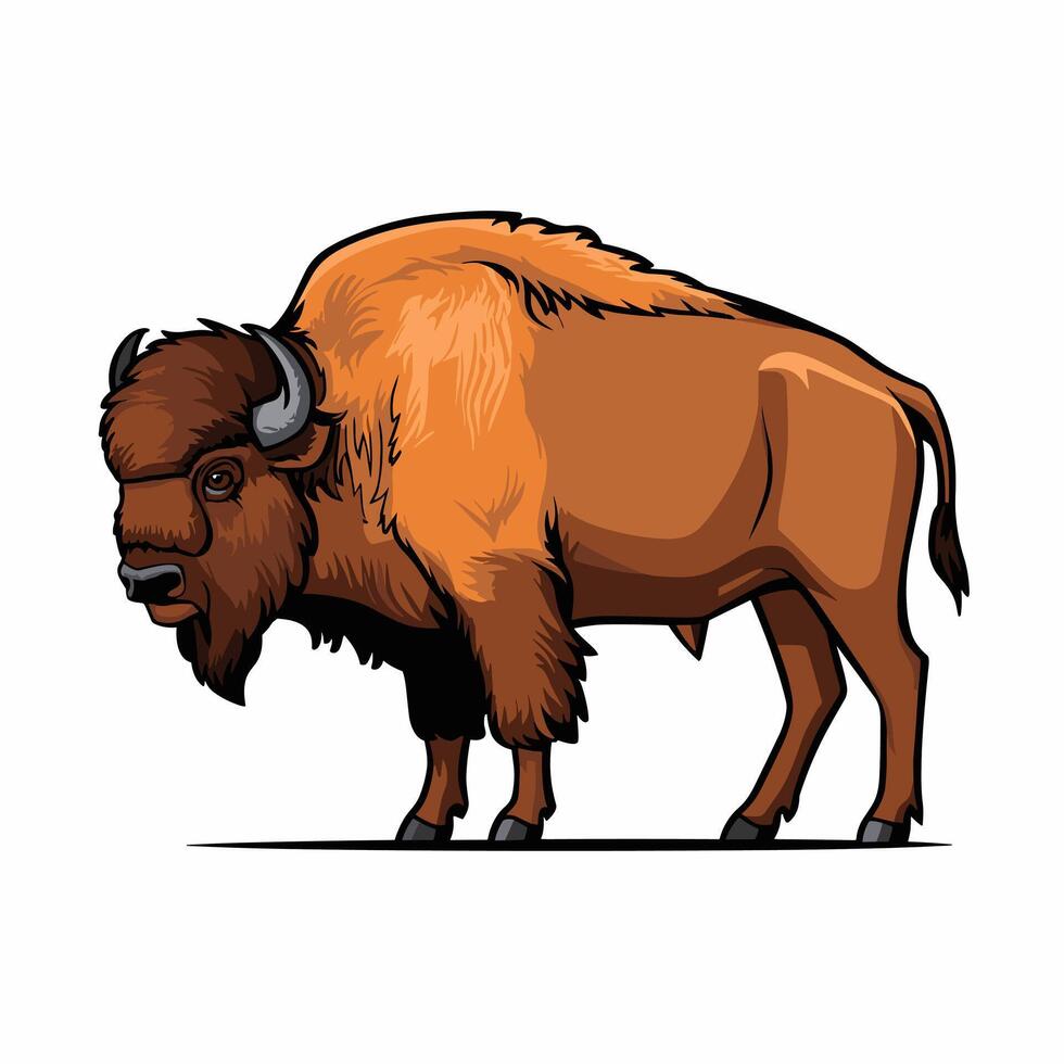 bison flat illustration on white background vector