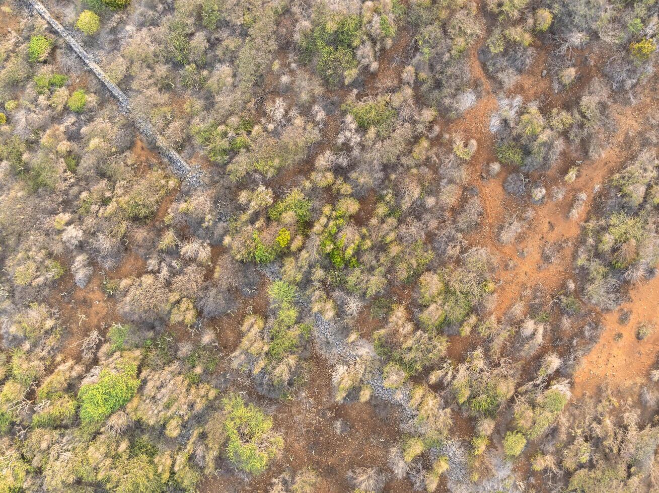 Top shot aerial over an island in the Caribbean photo