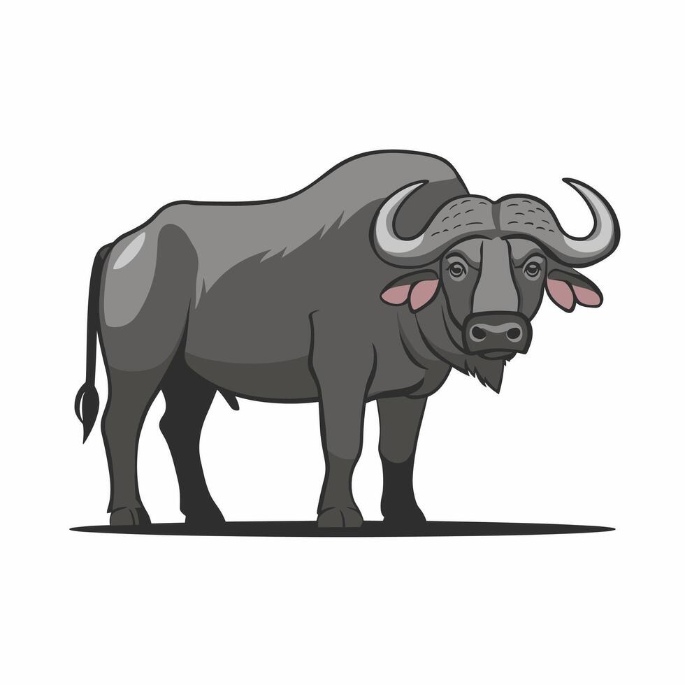 buffalo in flat style isolated on white background vector