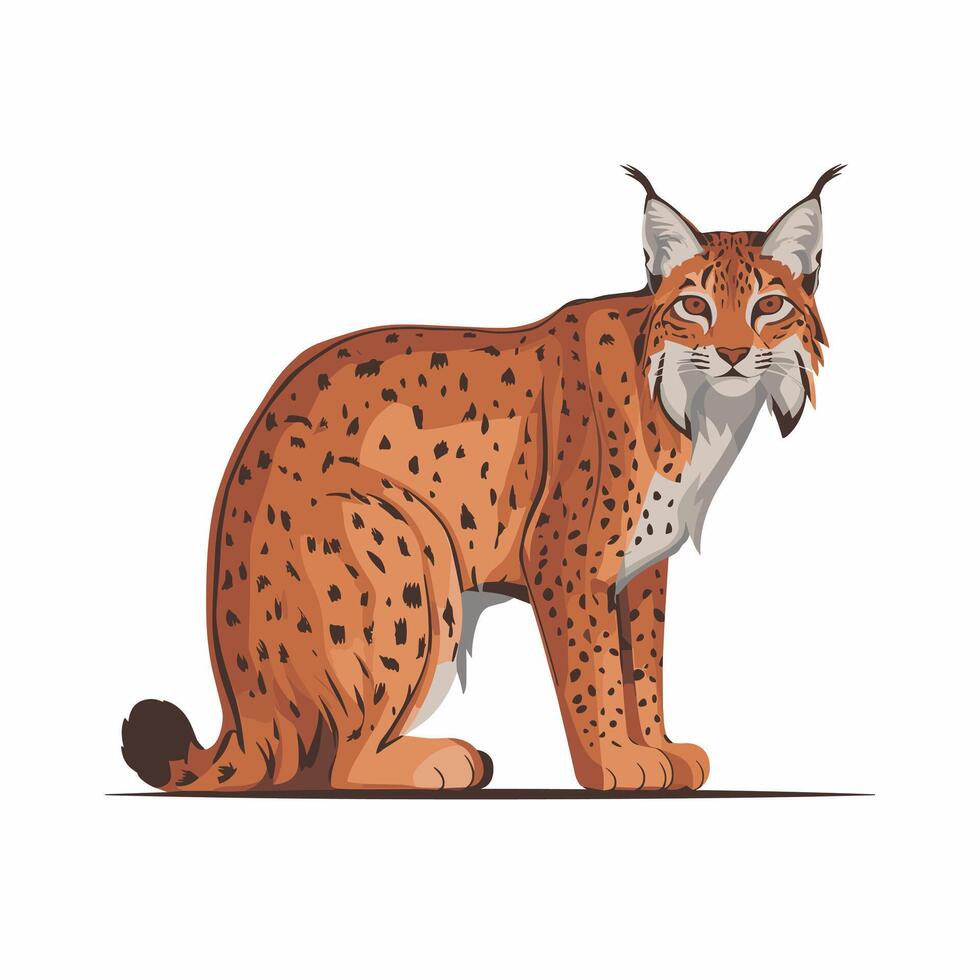 Bobcat is a wild cat. flat illustration of animal isolated on white background. vector
