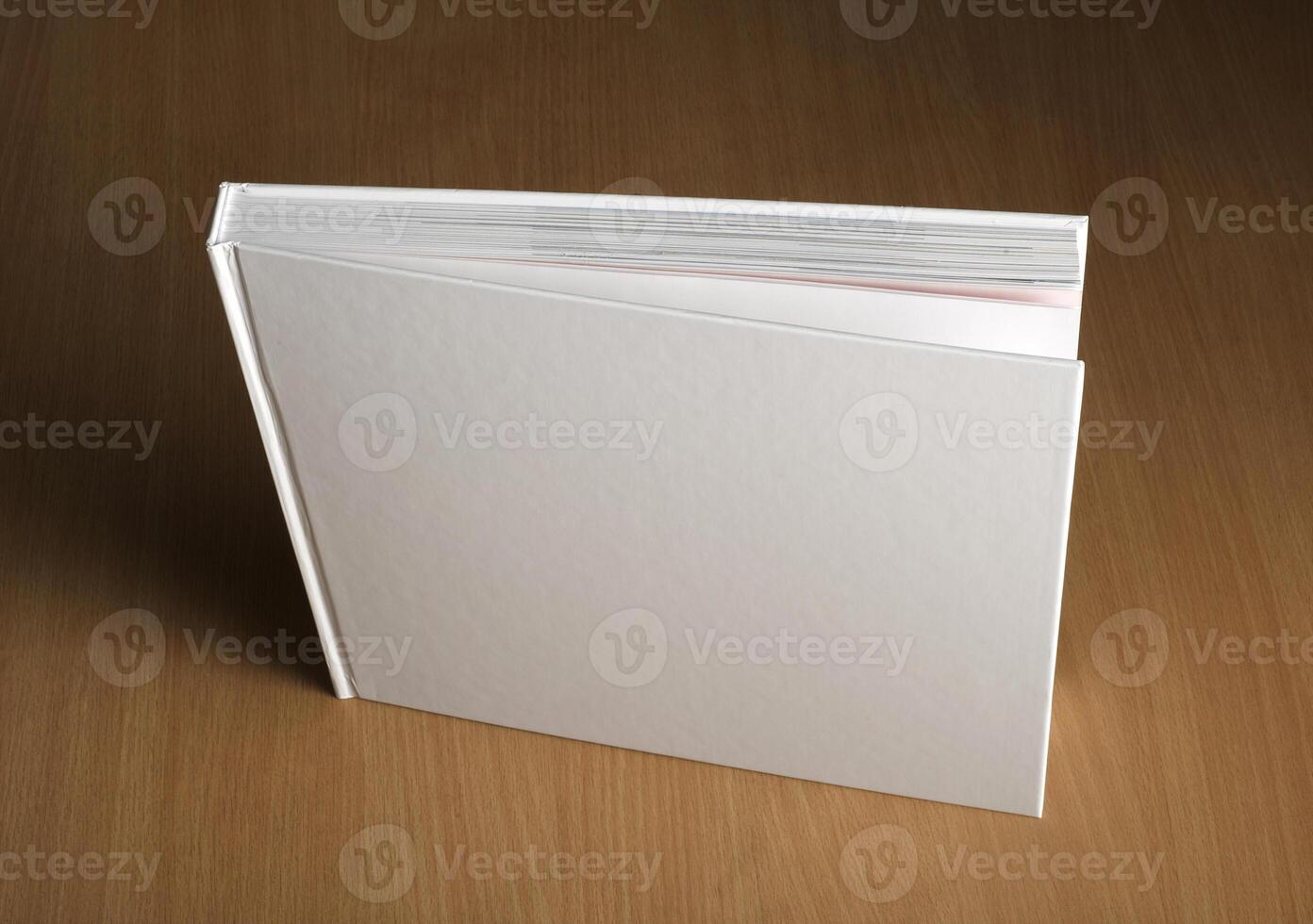 Mockup of the book photo
