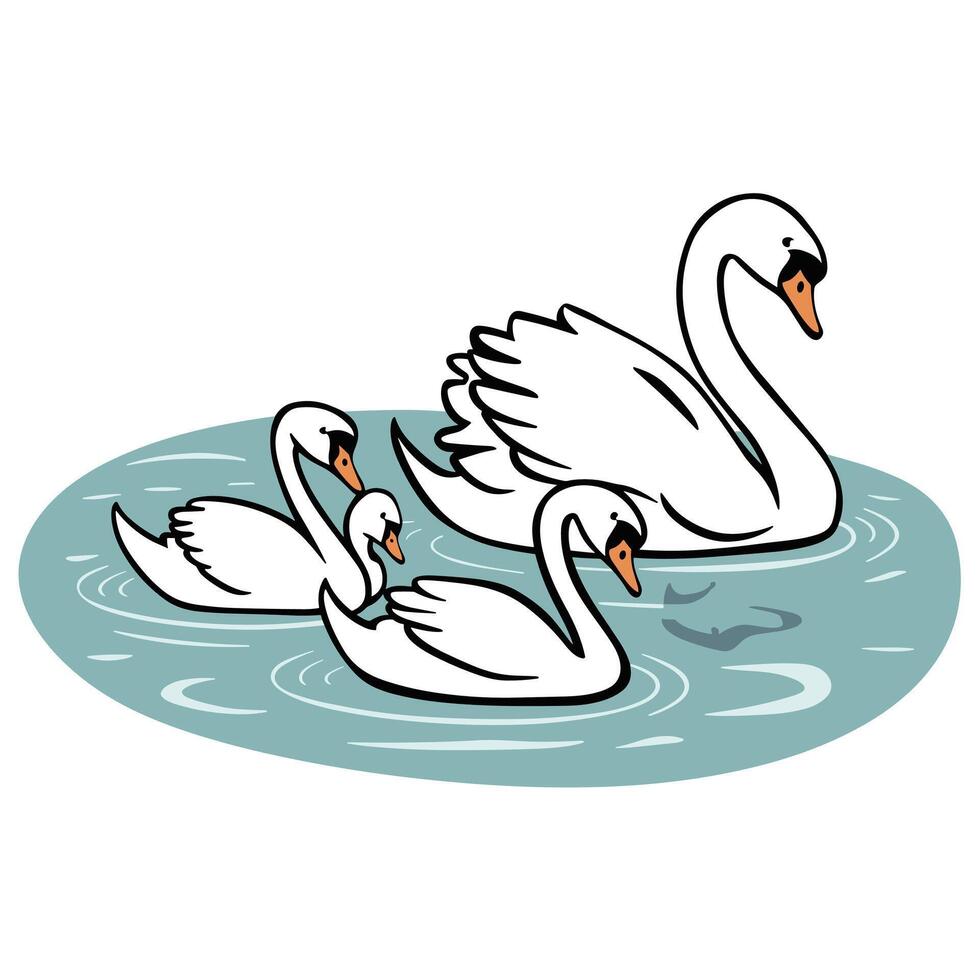 swans illustration isolated on white background vector