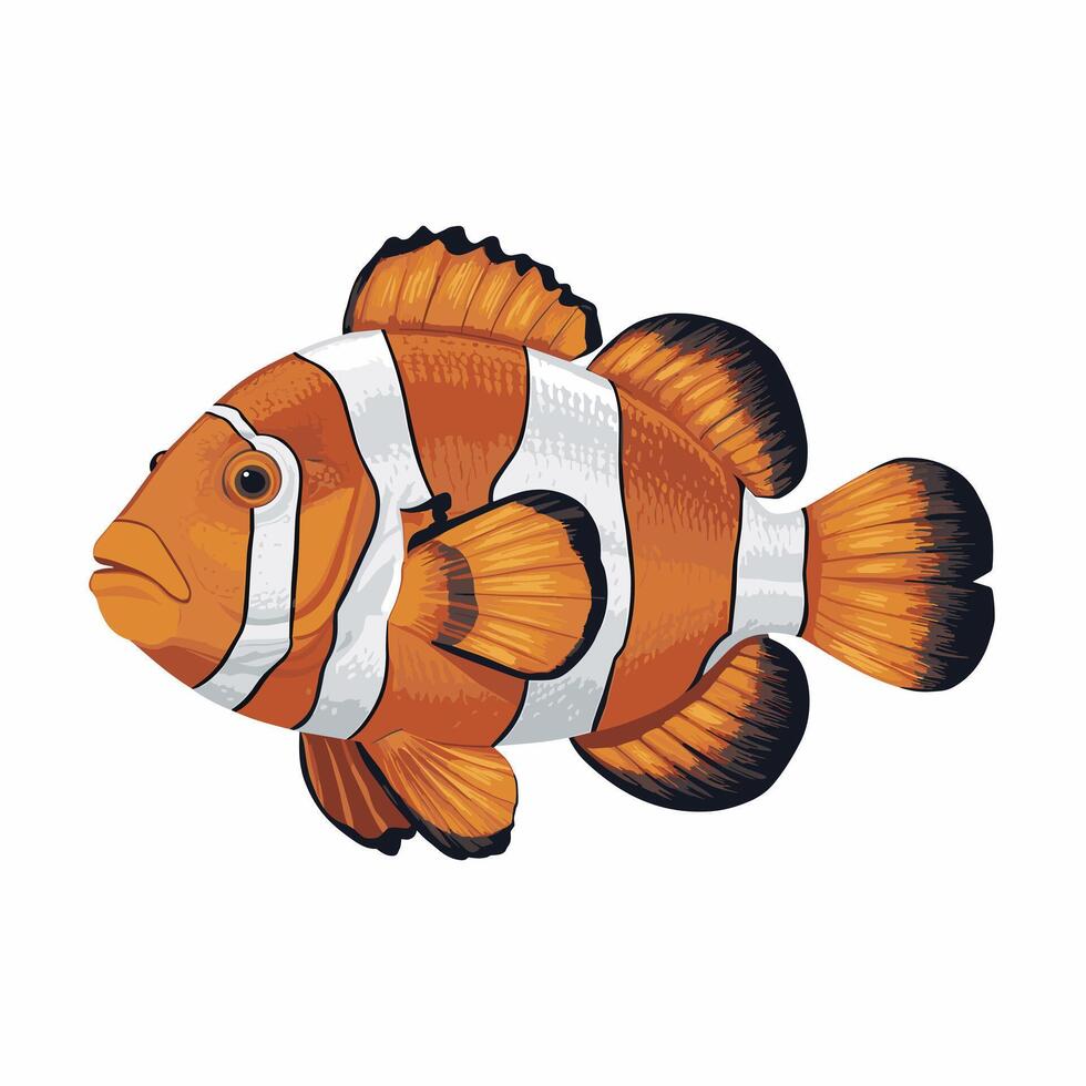 Cute cartoon clownfish. flat illustration white background vector