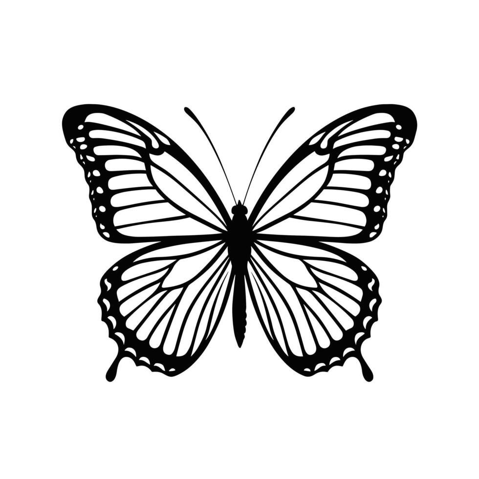 Flying butterfly . Flat illustration of flying butterfly icon isolated on white background vector