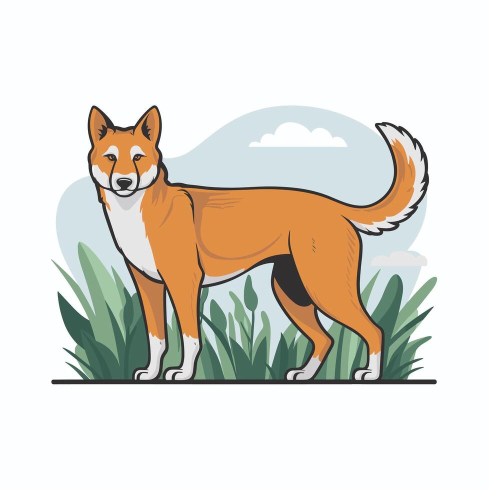 Dingo. Isolated illustration white background vector