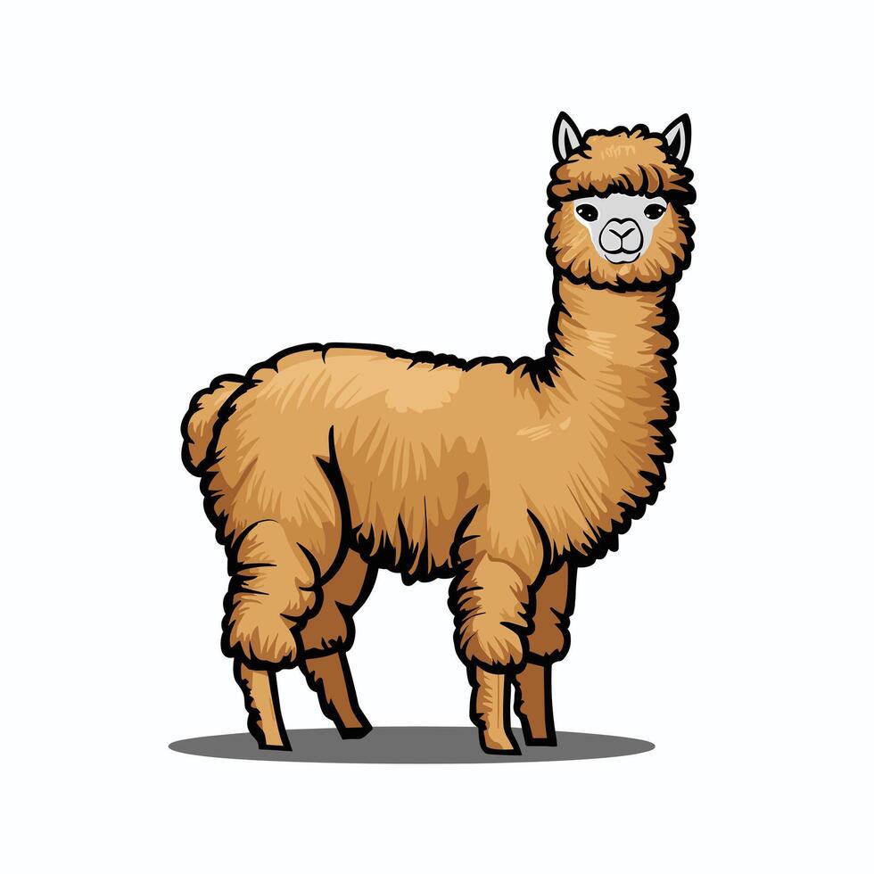 alpaca animal lying Illustration on a white background vector