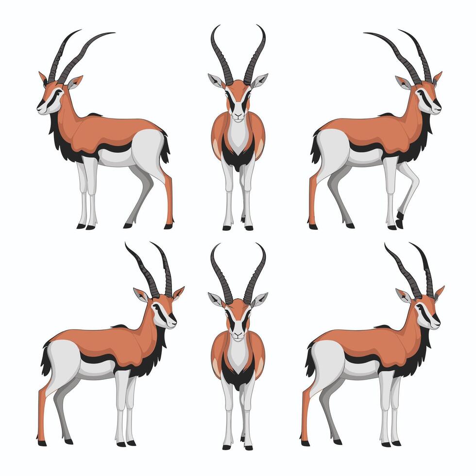 Cute antelope stands on a white background in cartoon style. illustration with African animal. vector