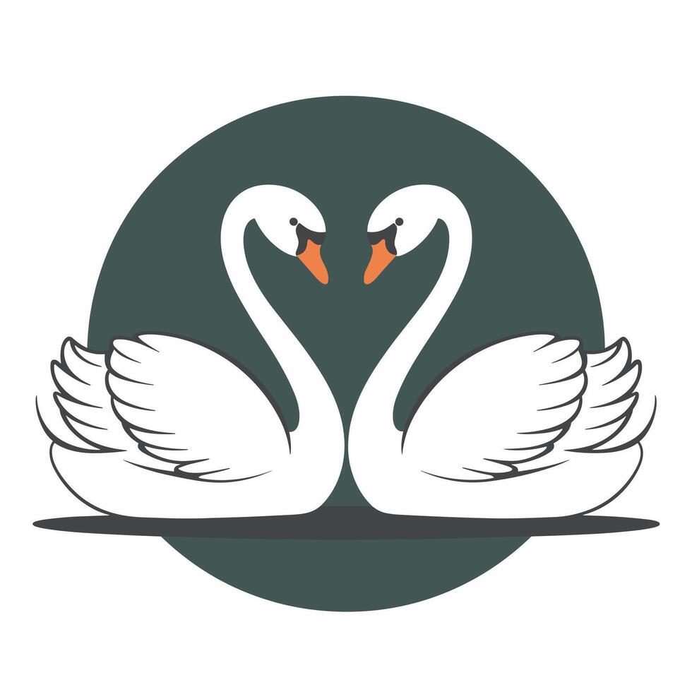 swans illustration isolated on white background vector