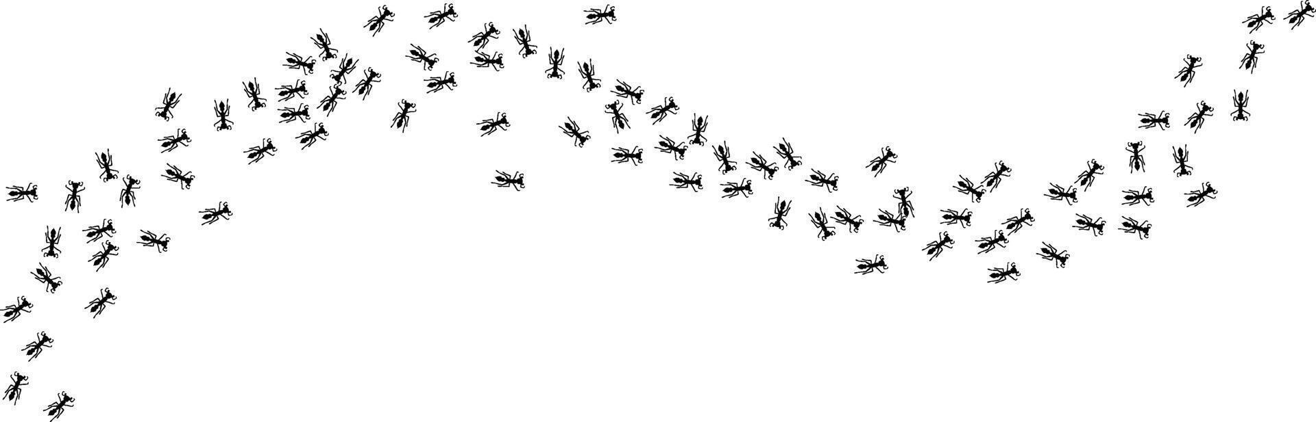 Chaotic Ant trail way illustration. Insect at home. concept vector