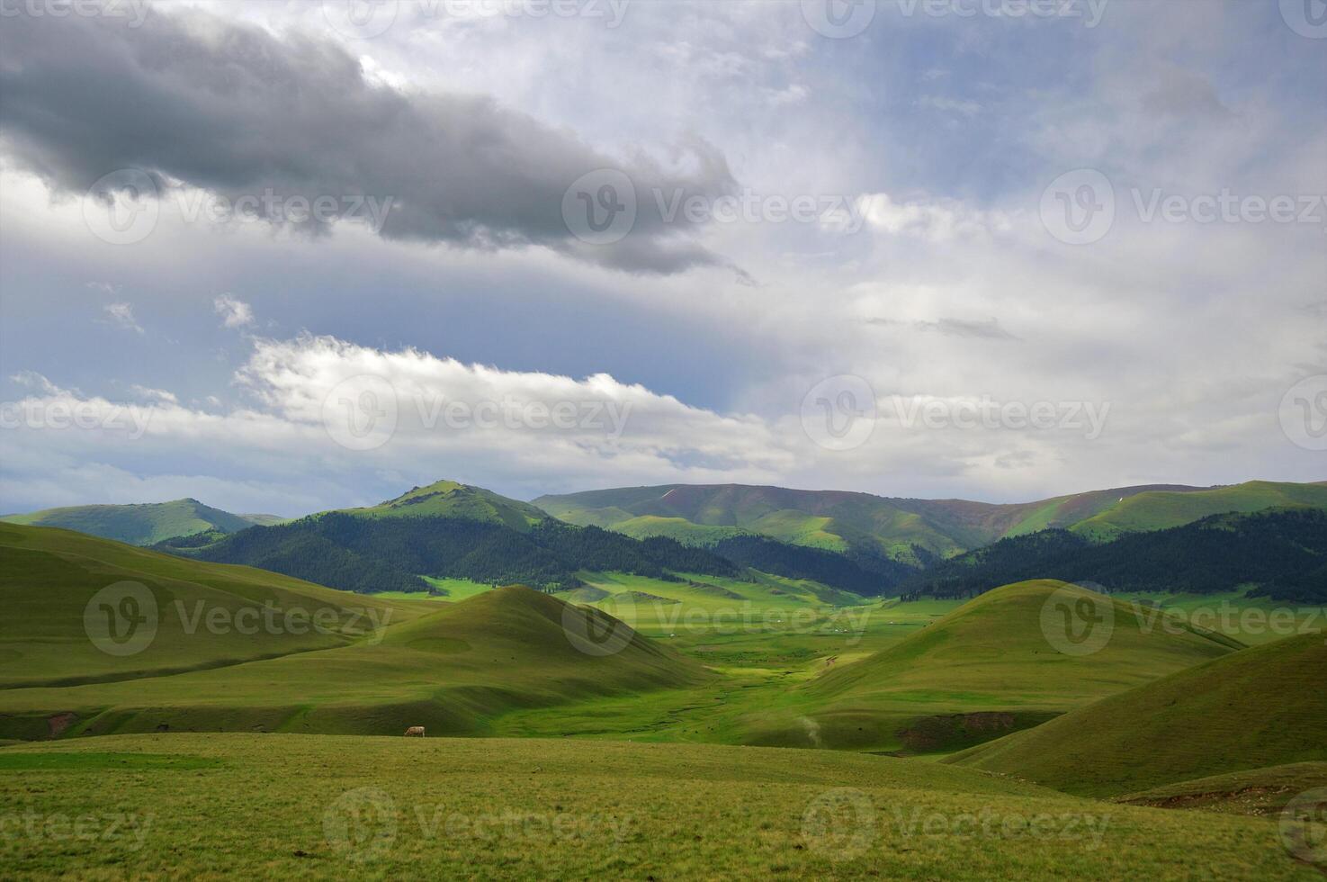 Assy Valley, Almaty Region photo