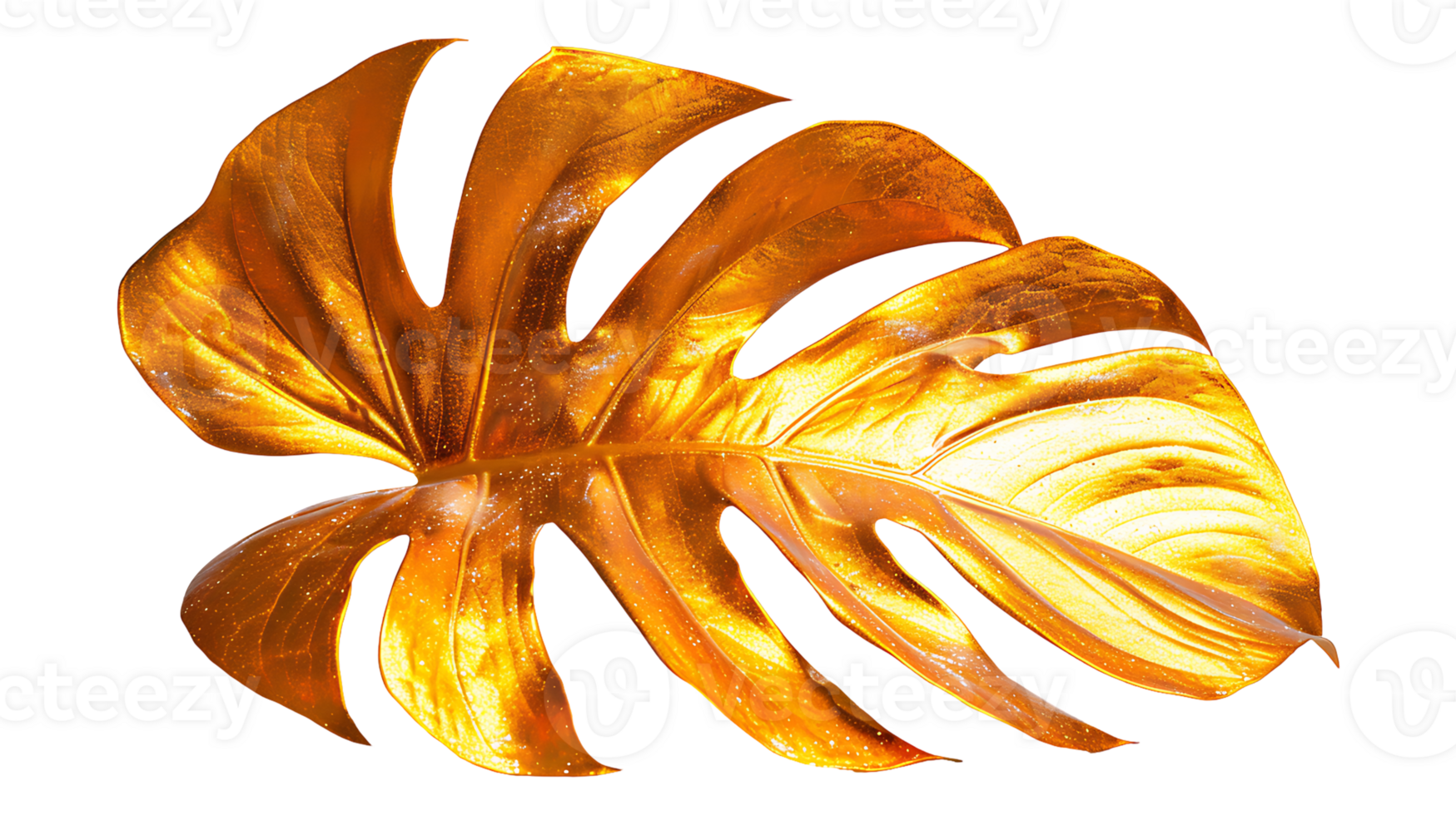 Golden monstera leaf on a transparent background png