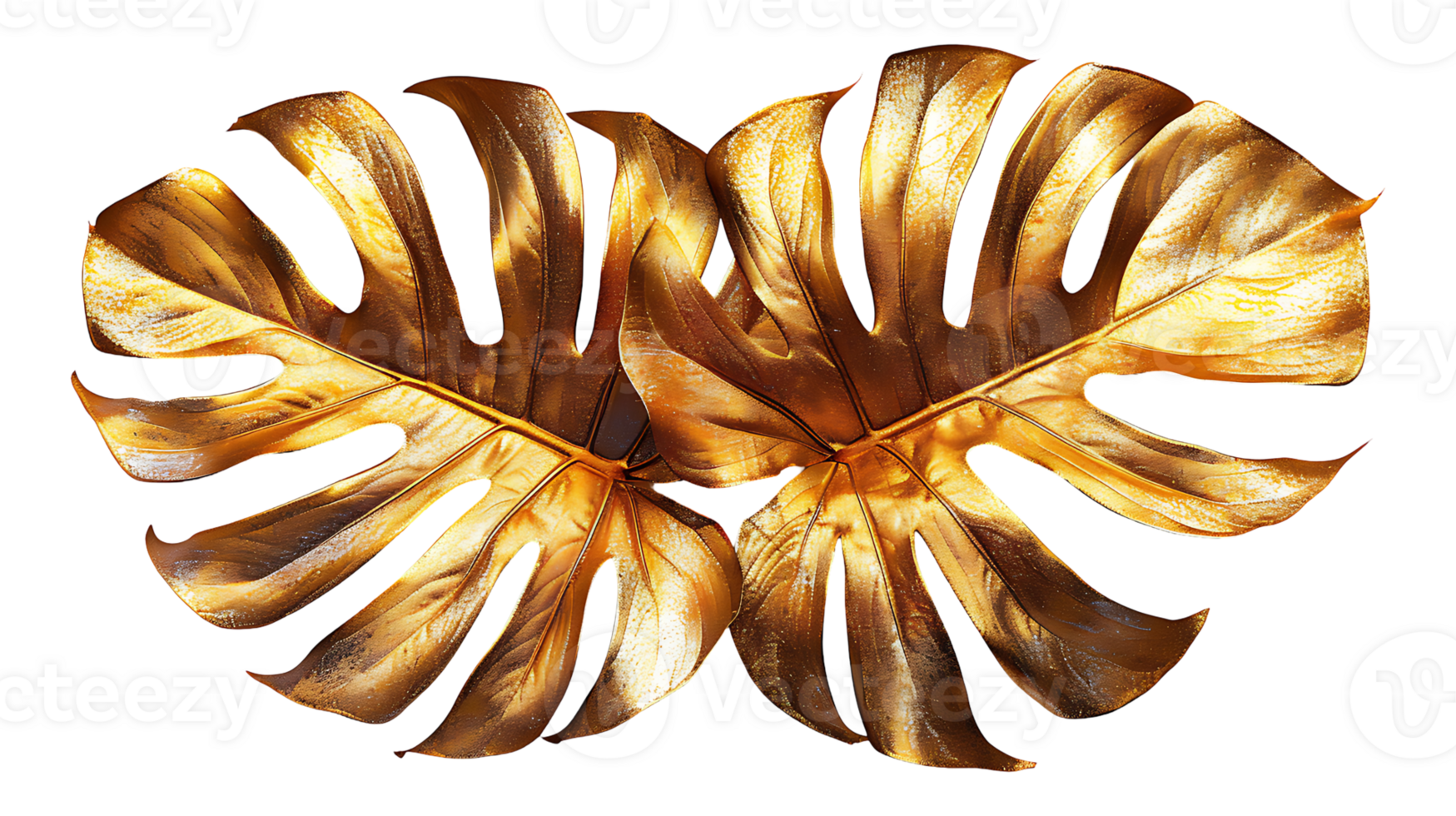 Golden monstera leaf on a transparent background png