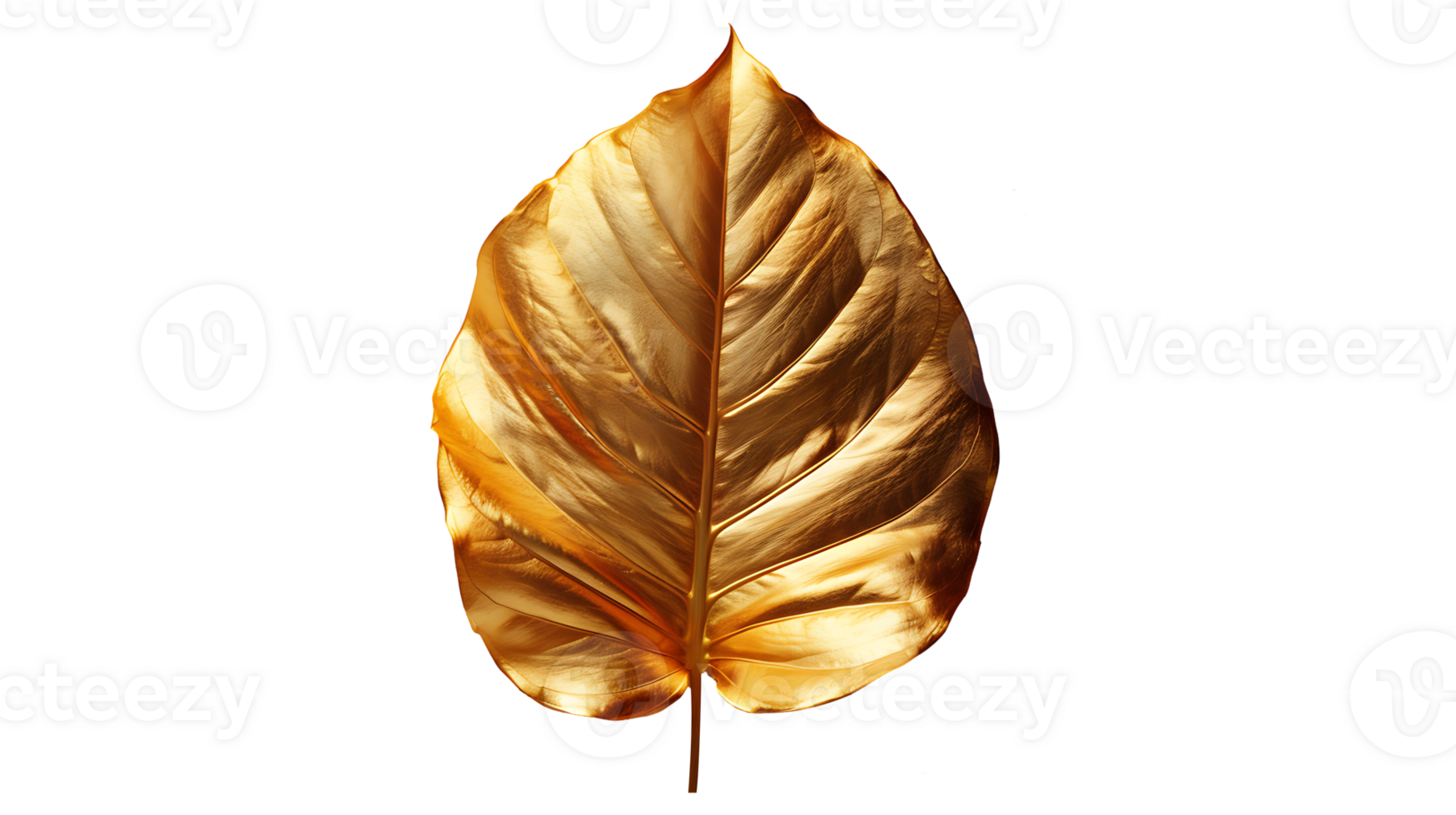 Golden monstera leaf on a transparent background png