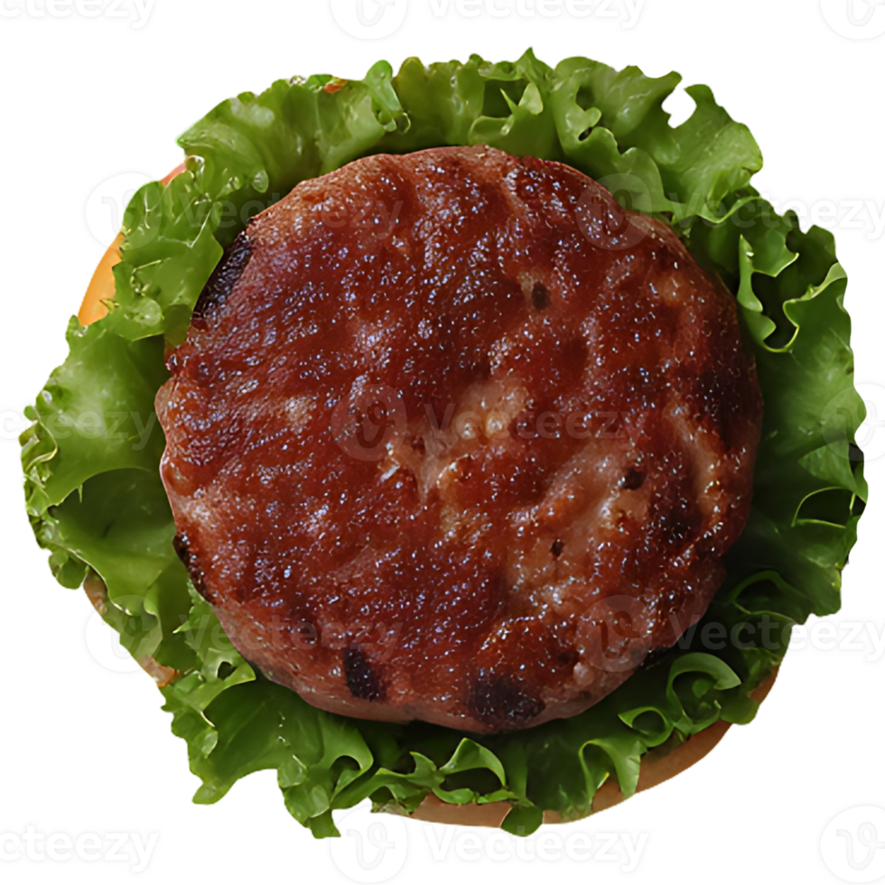 fast food set on a transparent background png