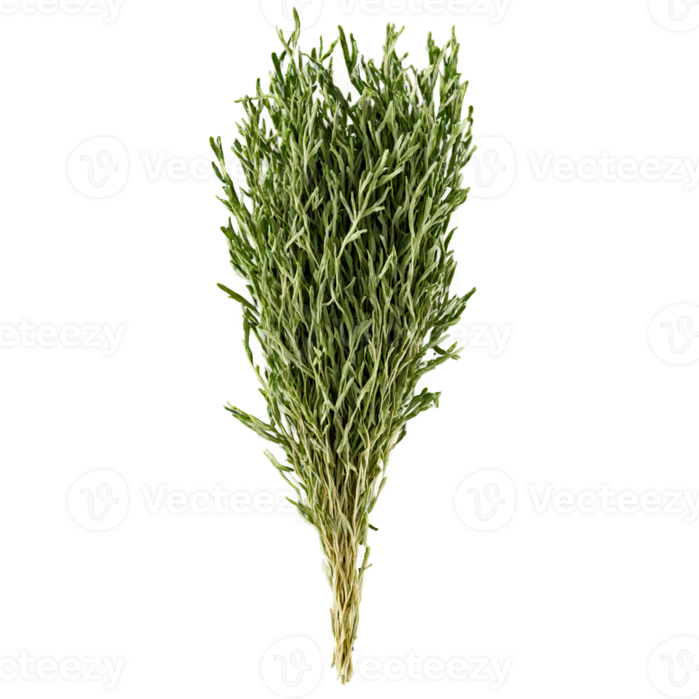 Dried savory leaves dark green color tiny leaves delicate stems Food and culinary concept png