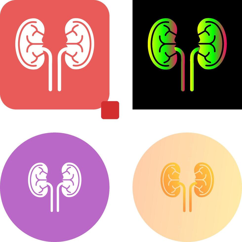 Kidney Icon Design vector
