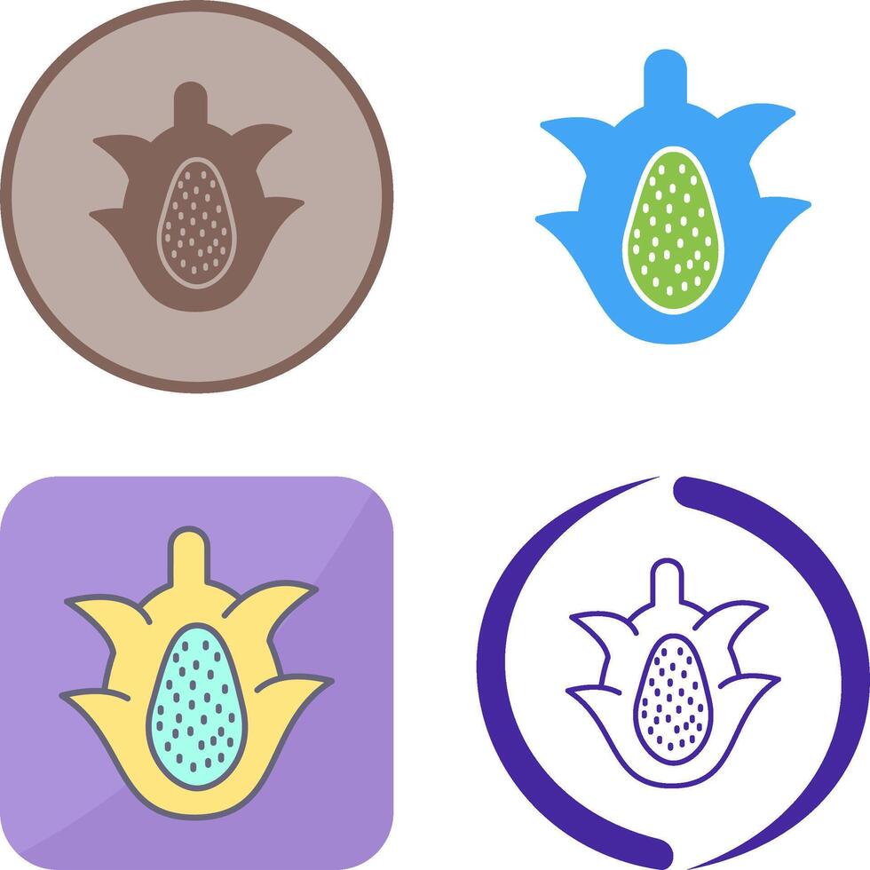 Dragon Fruit Icon Design vector