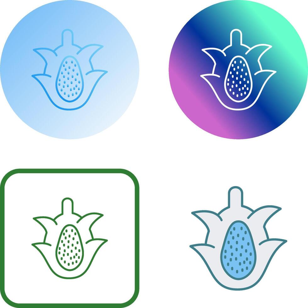 Dragon Fruit Icon Design vector