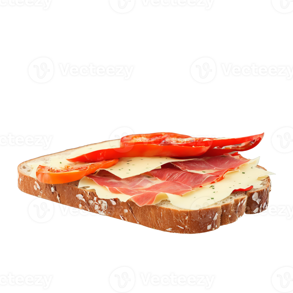 Capicola and fontina sandwich thinly sliced capicola fontina cheese