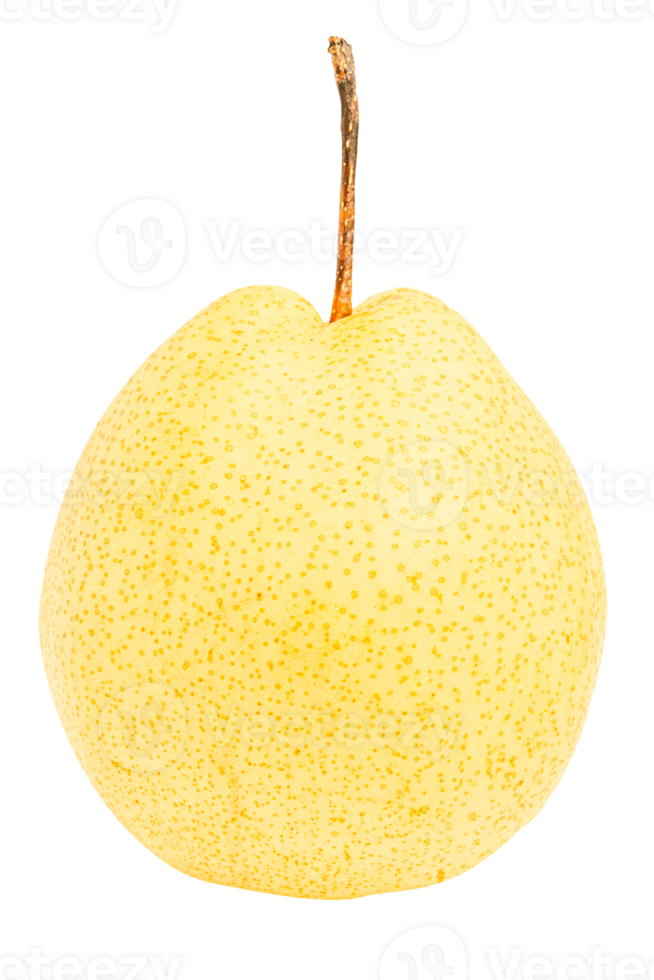 Cutout yellow asian pear png
